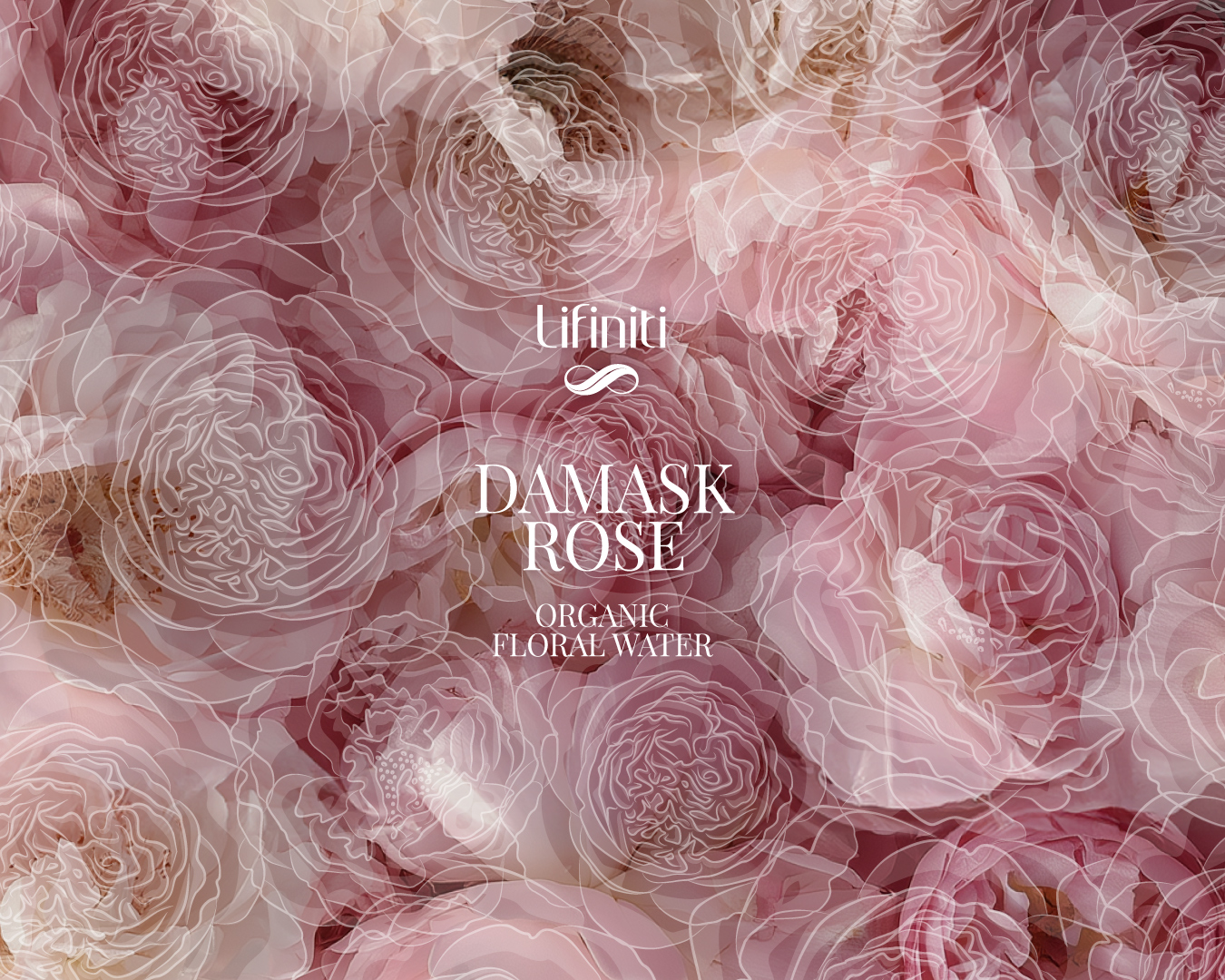 Brand design Scollin design