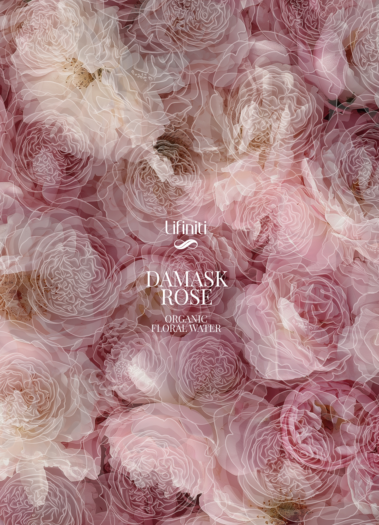 Brand design Scollin design