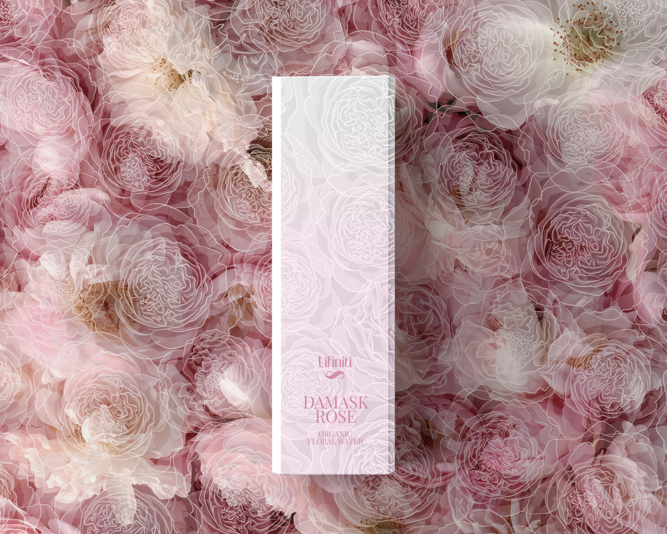 Brand design Scollin design