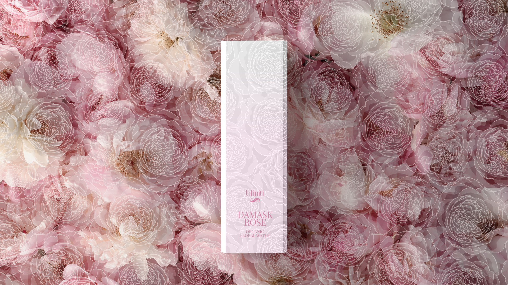 Brand design Scollin design