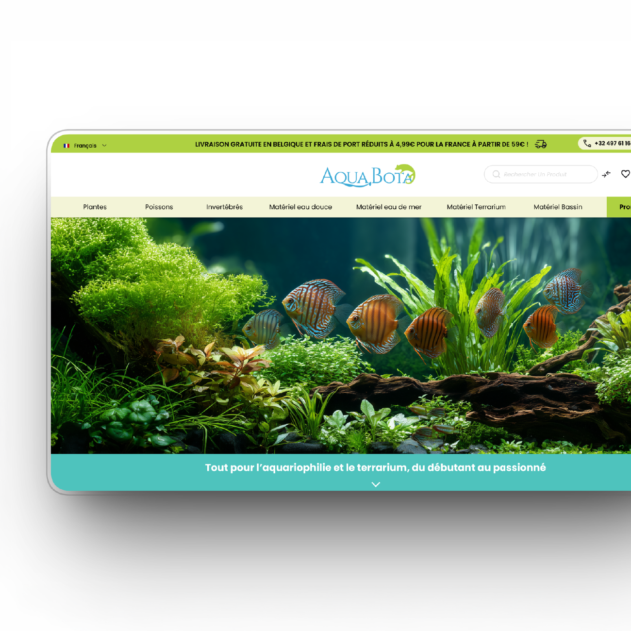Brand design Scollin design
