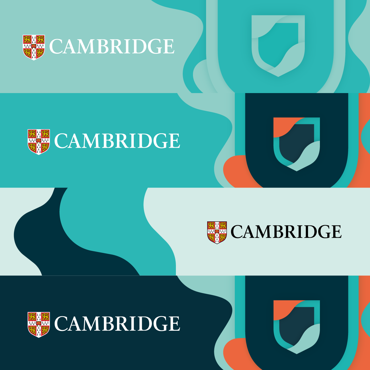 Brand design Scollin design