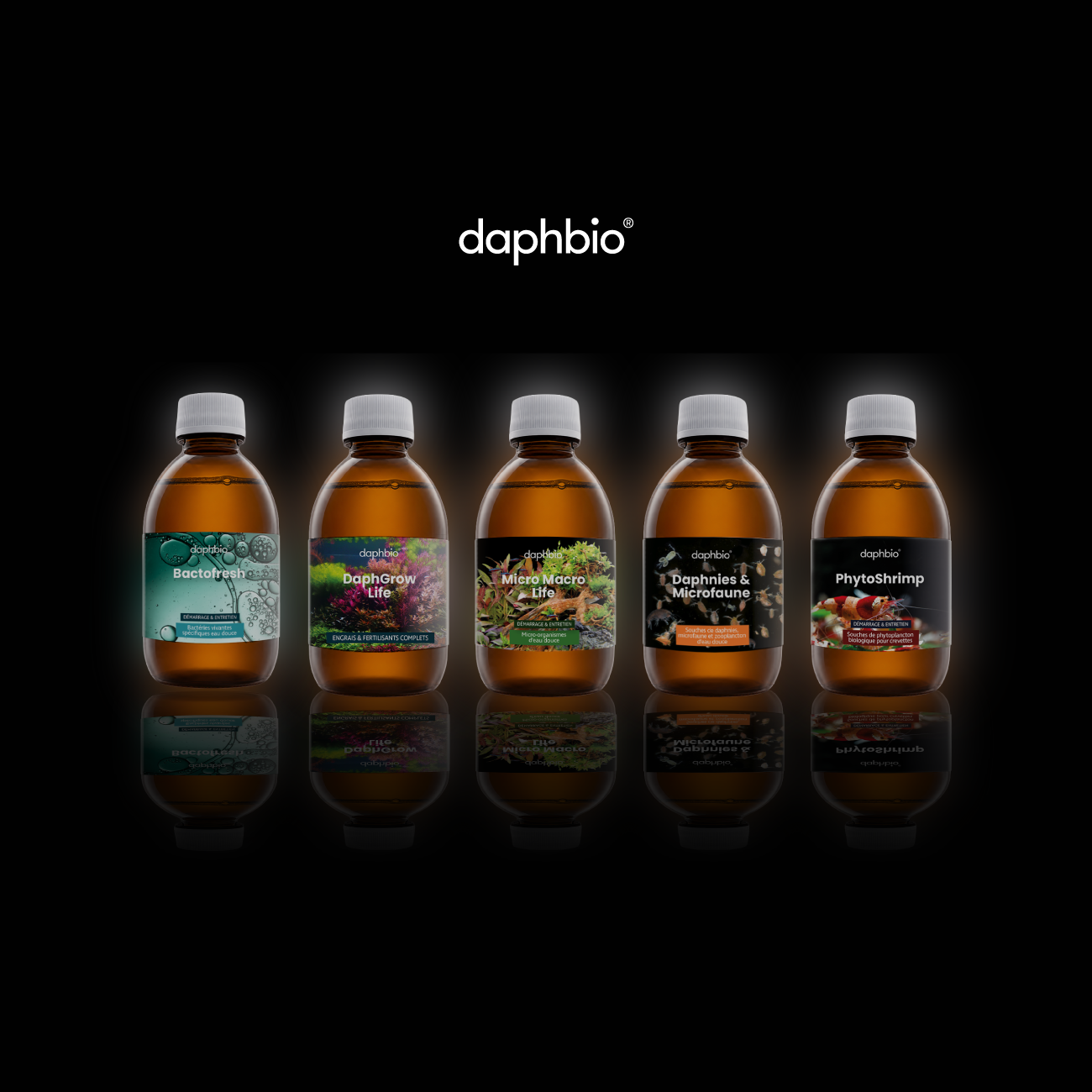 Brand design - Graphiste freelance