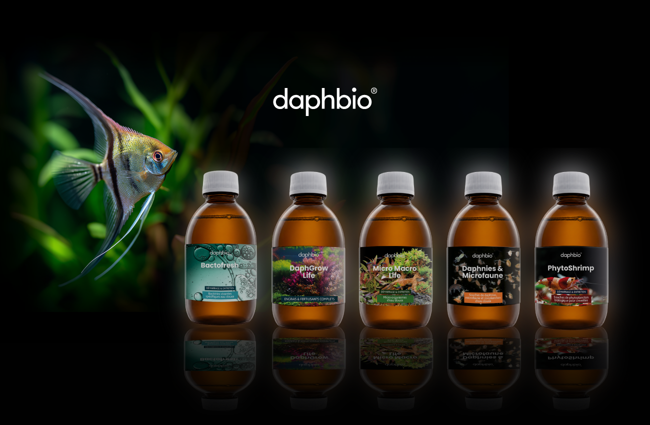 scollindesign-daphbio-05 Brand designe